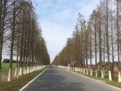 房屋出賣人未將戶口遷出引發糾紛怎么辦？